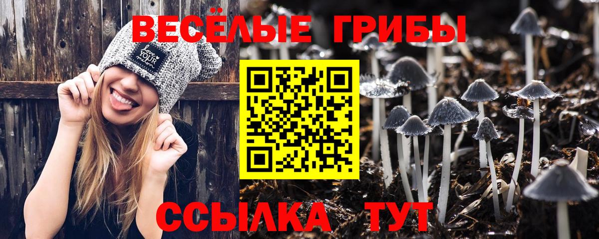 Псилоцибиновые грибы прущие грибы Ярцево