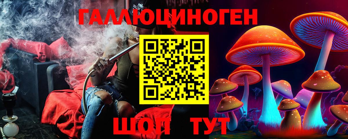 Псилоцибиновые грибы MAGIC MUSHROOMS  Вход с VPN  Псилоцибиновые грибы Psilocybine cubensis  Ярцево 